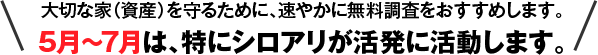 5月～7月は、特にシロアリが活発に活動します。