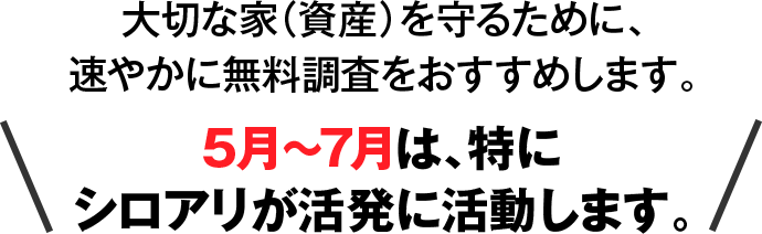 5月～7月は、特にシロアリが活発に活動します。